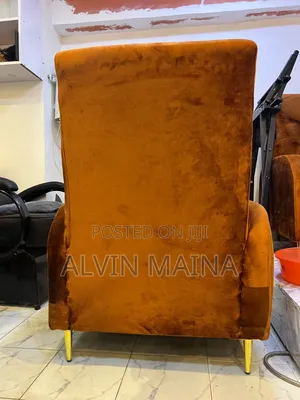 Salon Chair