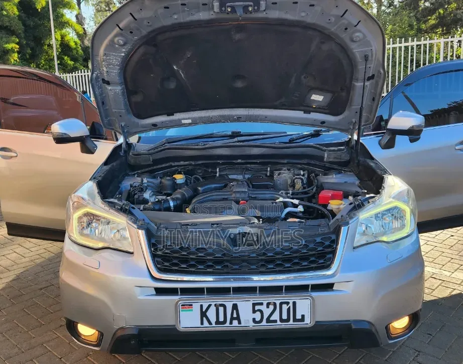 Subaru Forester 2013 Gray