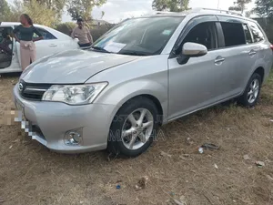 Toyota Corolla Fielder 2013 Silver