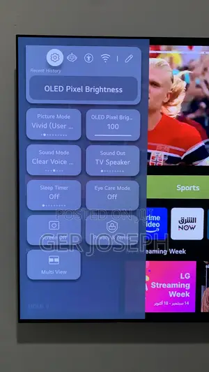 LG Oled C4 65 Inch