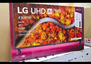 LG 43 Inch Smart TV