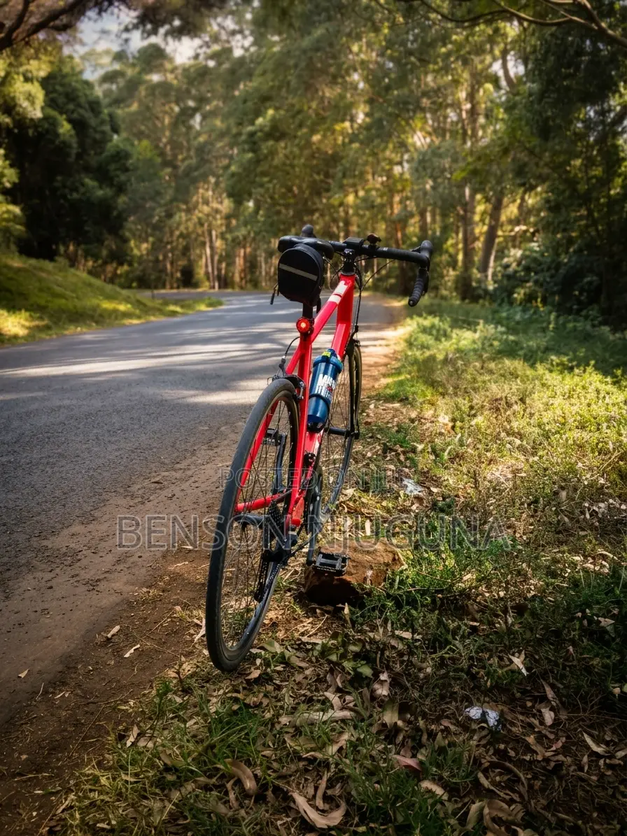 Btwin Triban 500