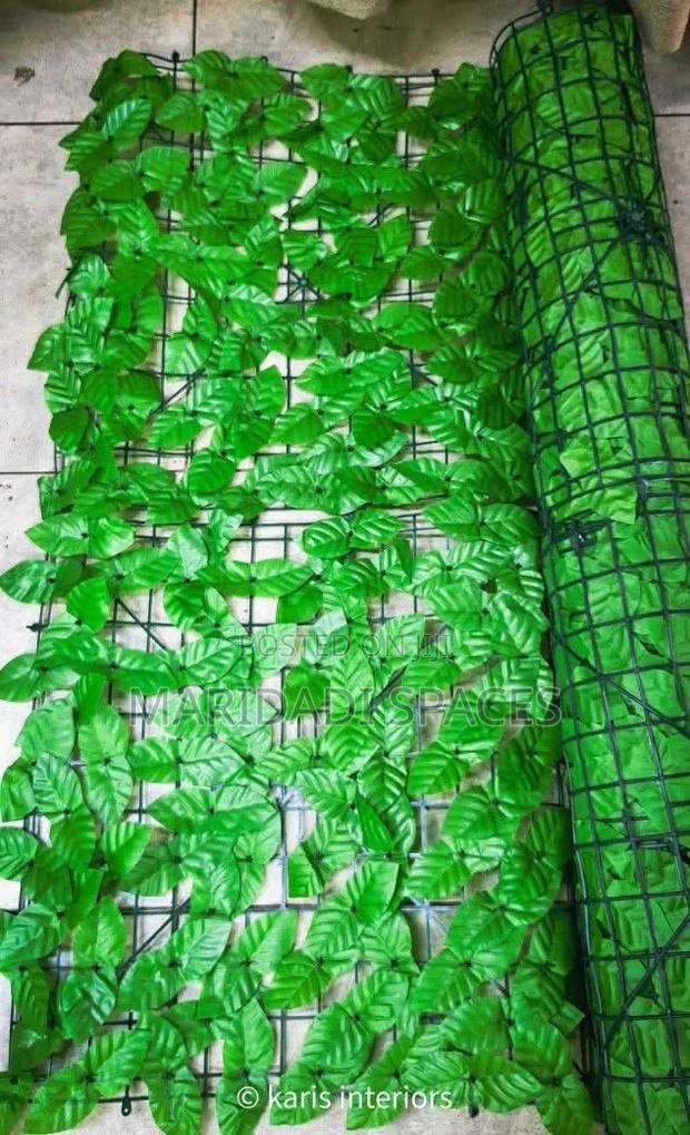 Privacy Leafy Fence 3m by 1m /Melon Type - main view