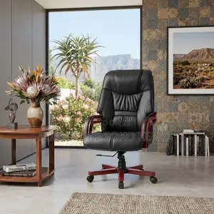 Office Chairs; Bliss Design Ergonomic Executive Office Work Chair