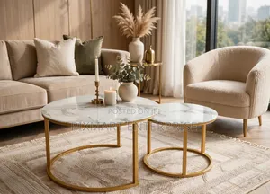 Stylish Living Room Coffee Tables Set of 2 White and Gold