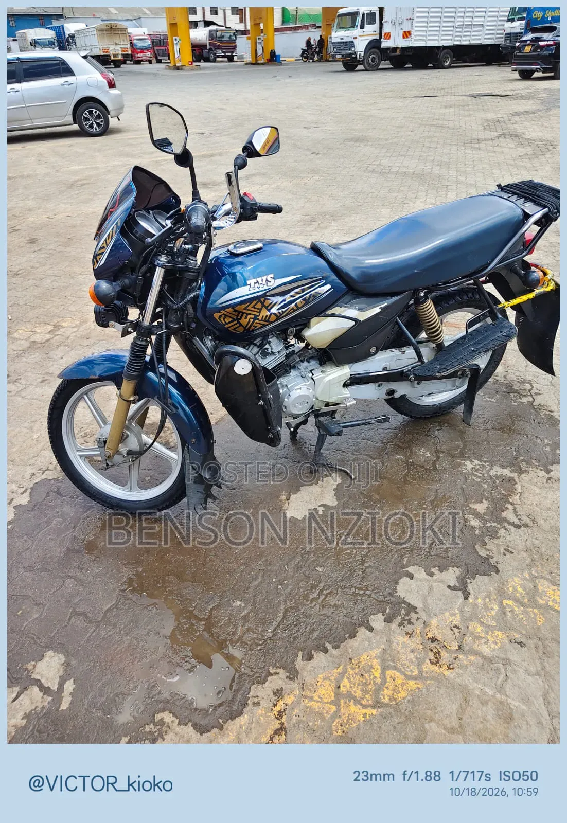 TVS 2024 Gold