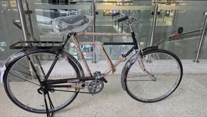 Raja 28" Traditional Adult Bicycle/Black Mamba