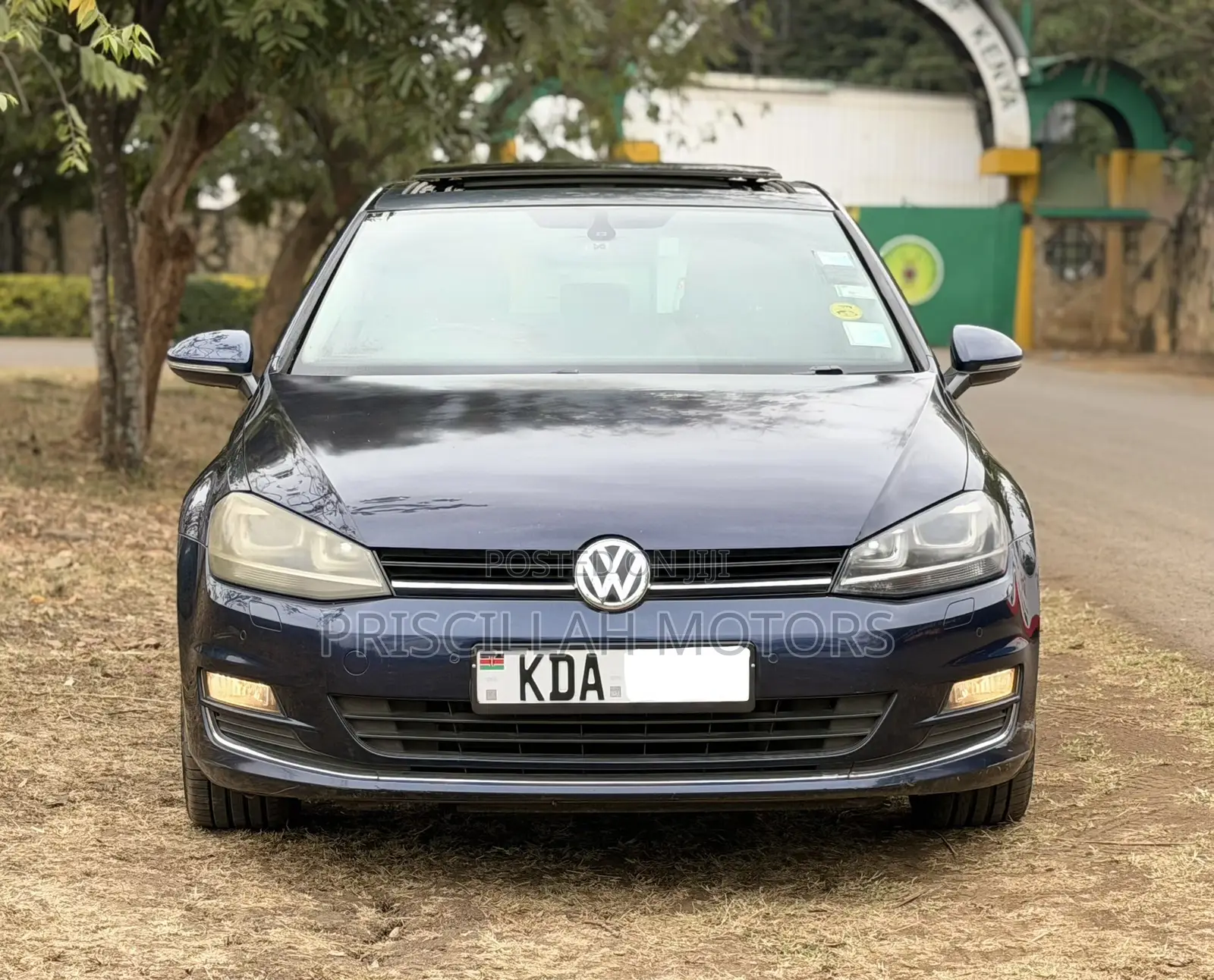 Volkswagen Golf 2014 Blue