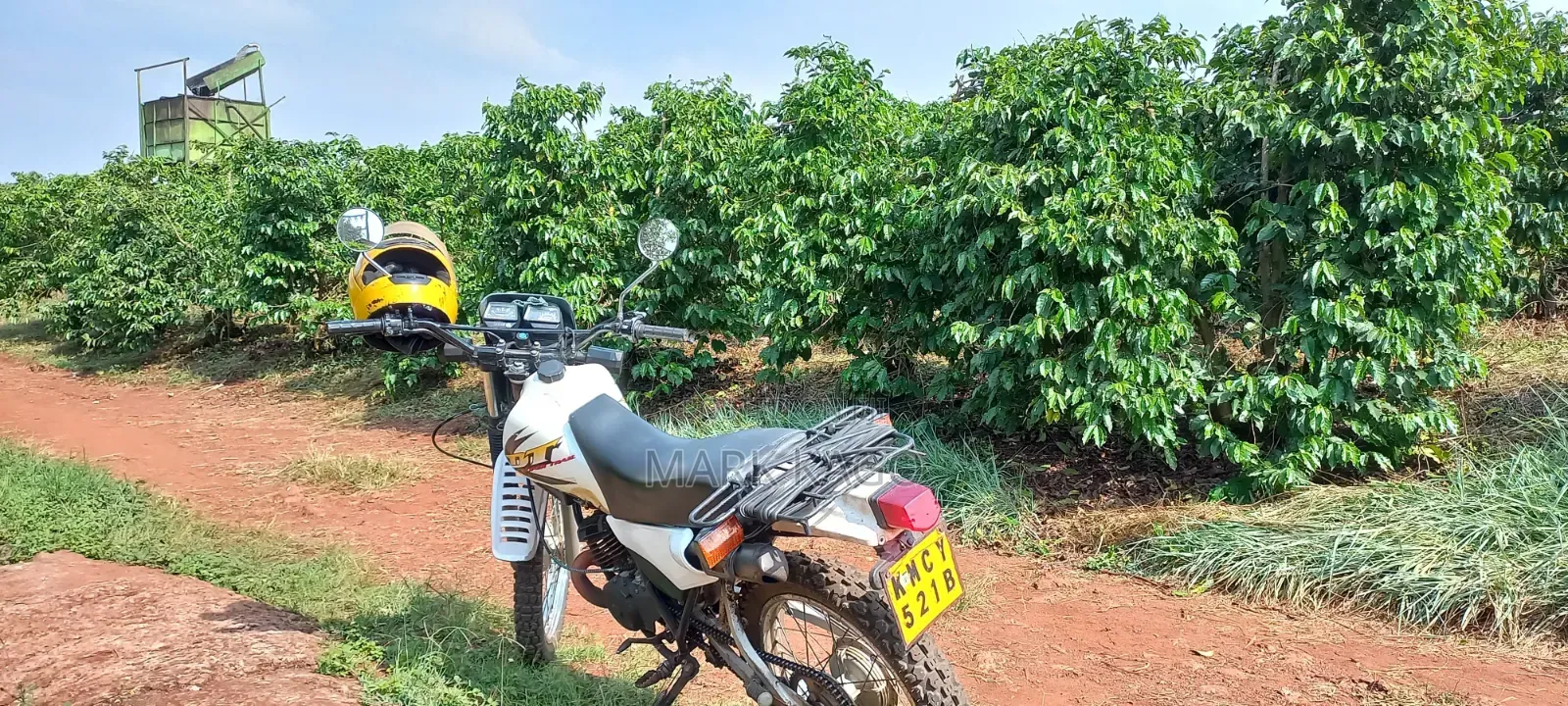 Yamaha DT175 2014 White