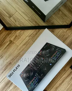Pioneer FLX 10