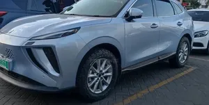 New Dongfeng EV EX1 2025 White