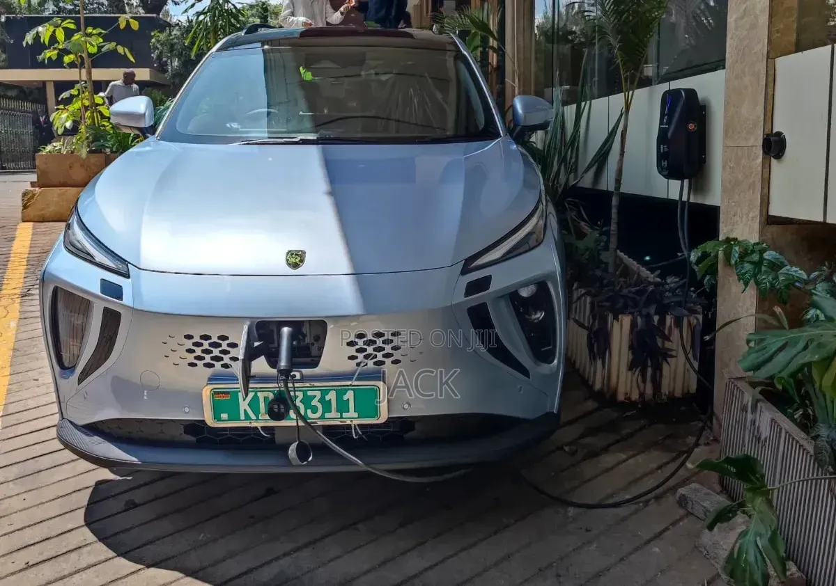 New Dongfeng EV EX1 2025 White