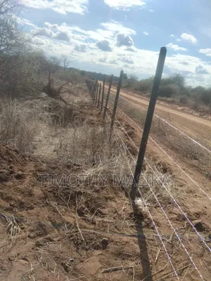 Reject Mambati and Plastic Posts