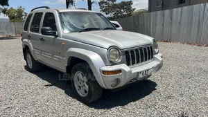 Jeep Cherokee 2003 Silver