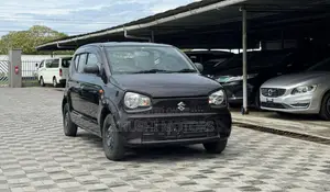 Suzuki Alto 2018 Brown