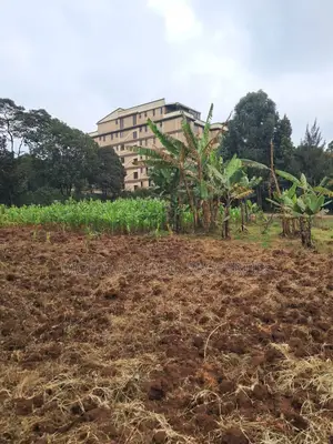 Sale 1.5 Acre Sigona Limuru