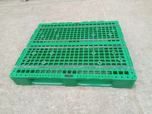 Warehouse Storage Plastic Pallets (Green)