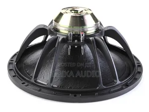 V-Nice Black 15-Inch Neodymium Magnet Woofer 800W Speaker