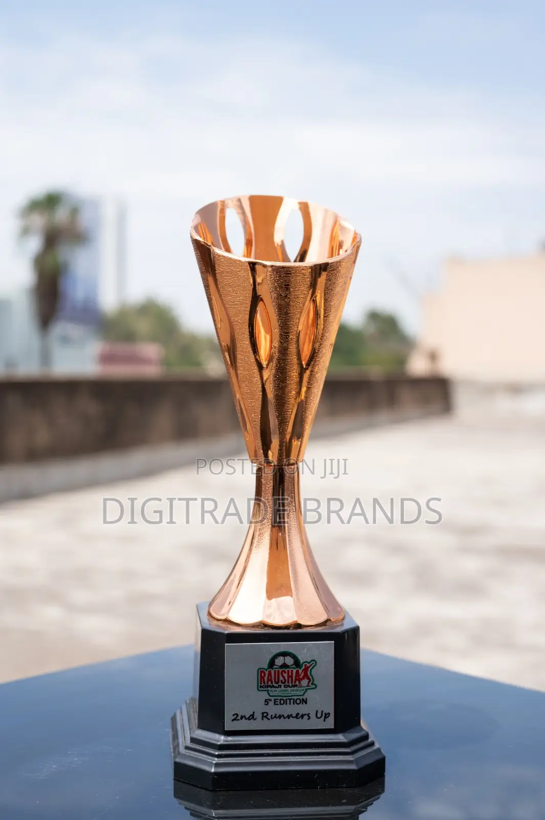 Premium Trophies