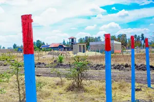 Prime Commercial/Residential Plots