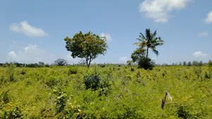 Plot for Sale in Gede Along Malindi Mombasa Highway