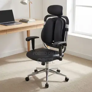 Office Chair : Dual Backrest Lumbar Support Aluminium Frame Chair