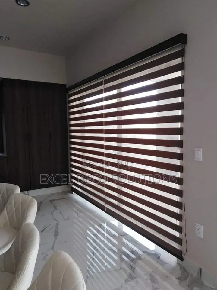 Light Filtering Dual Shade Zebra Blinds