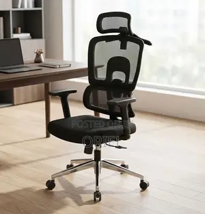 Office Chair : Executive & Managerial High Back Office Chair