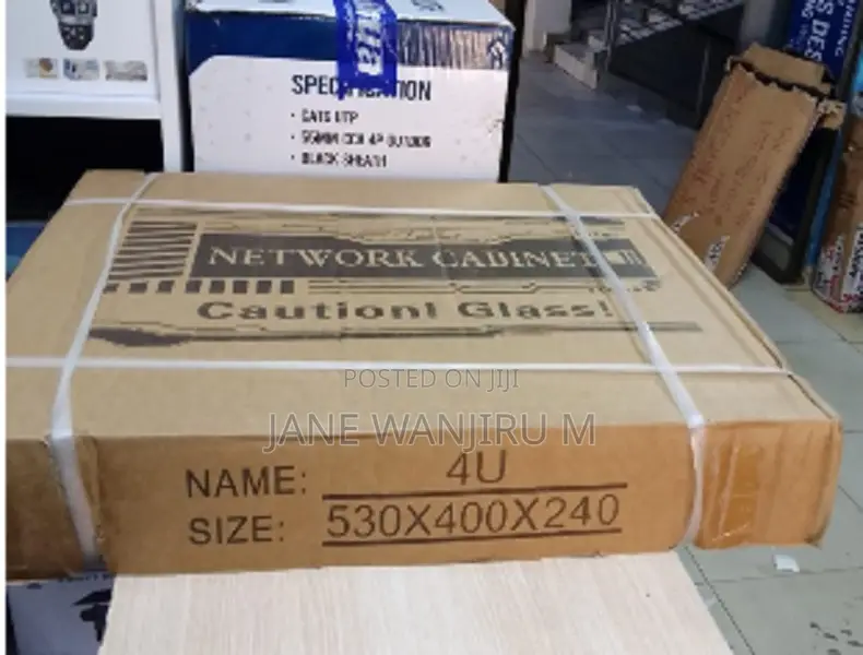 Advanced 4U Data Cabinet for Networking Accessories
