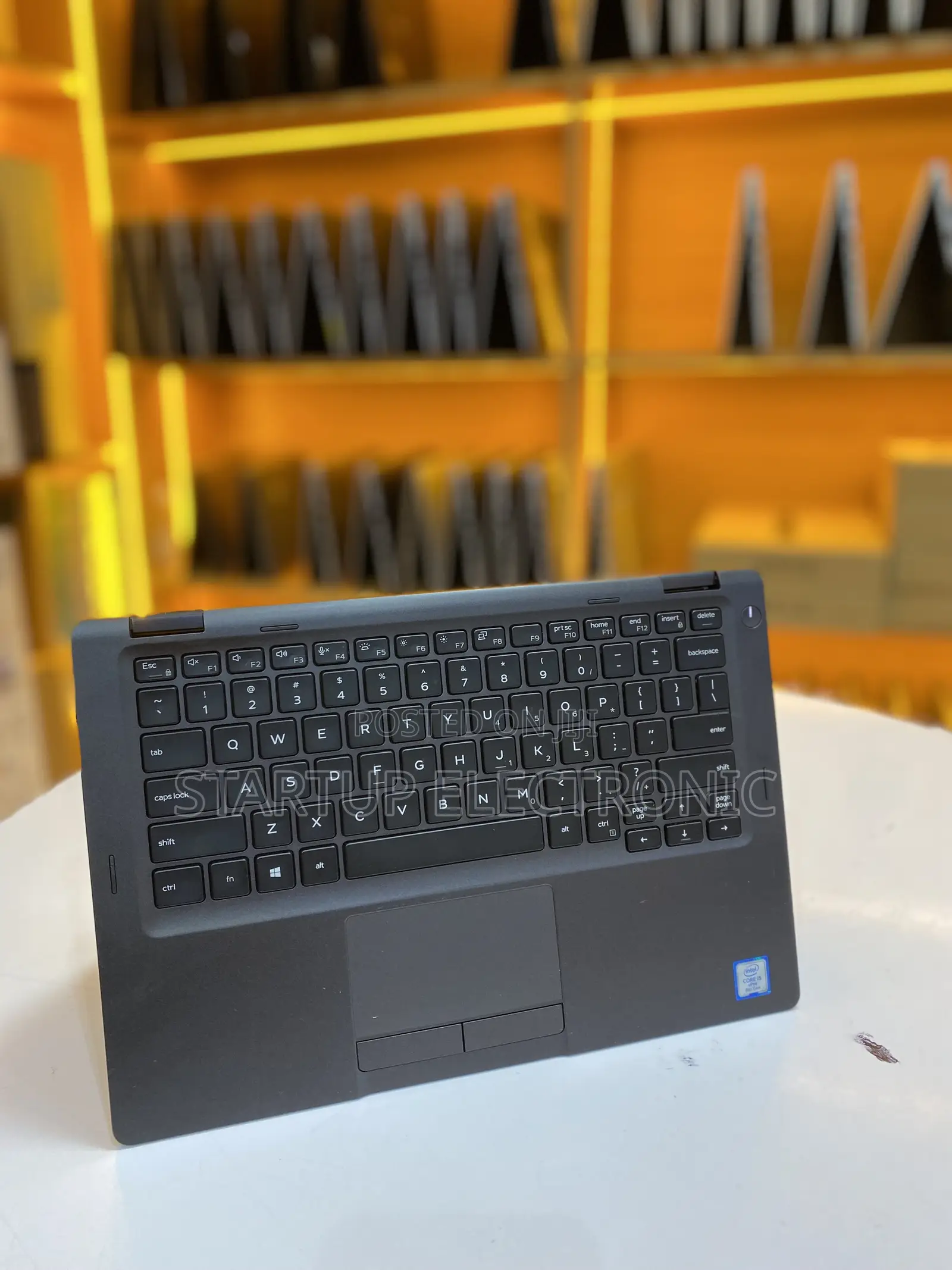 Laptop Dell Latitude 5300 8GB Intel Core i5 SSD 256GB