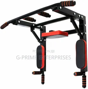 Wall Mounted Pull Up and Dip Station Machine