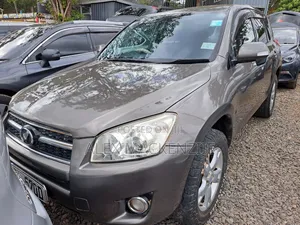 Toyota RAV4 2010 Brown