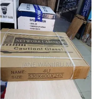 Special 4U Rack Cabinet for Routers and PoE Switches