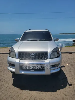 Toyota Land Cruiser Prado 2007 Silver