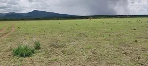 20 Acres for Sale at 300k Per Acre