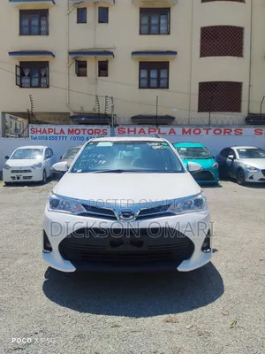 Toyota Corolla Fielder 2019 White