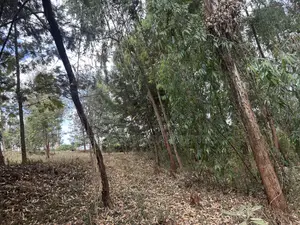 2acres Prime Land for Residential or Commercial Near Kirawa Road
