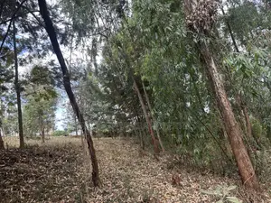 2acres Prime Land for Residential or Commercial Near Kirawa Road