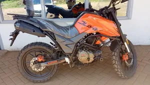 New Regal Raptor DY250 2024 Orange