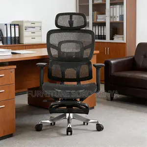 Office Chair : Mady Ergonomic High-Back Mesh Office Chair