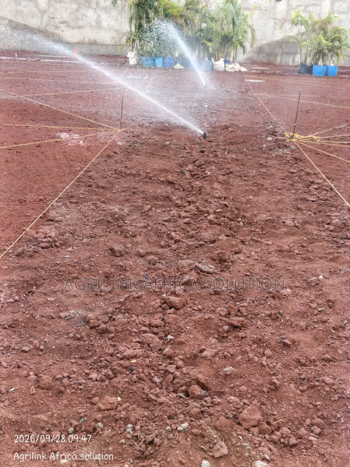 Pop Up Sprinkler Hunter 3/4"