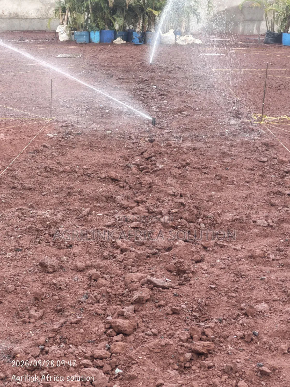 Pop Up Sprinkler Hunter 3/4"