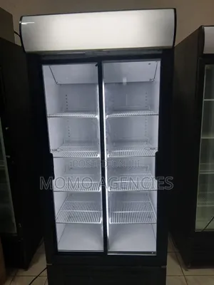 Sliding Double Door Display Fridge