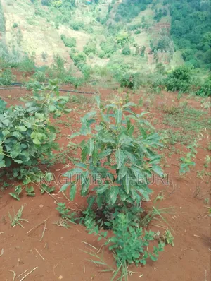 Land for Sale, Muranga County Kiharu Countituency, Gakuyu Location