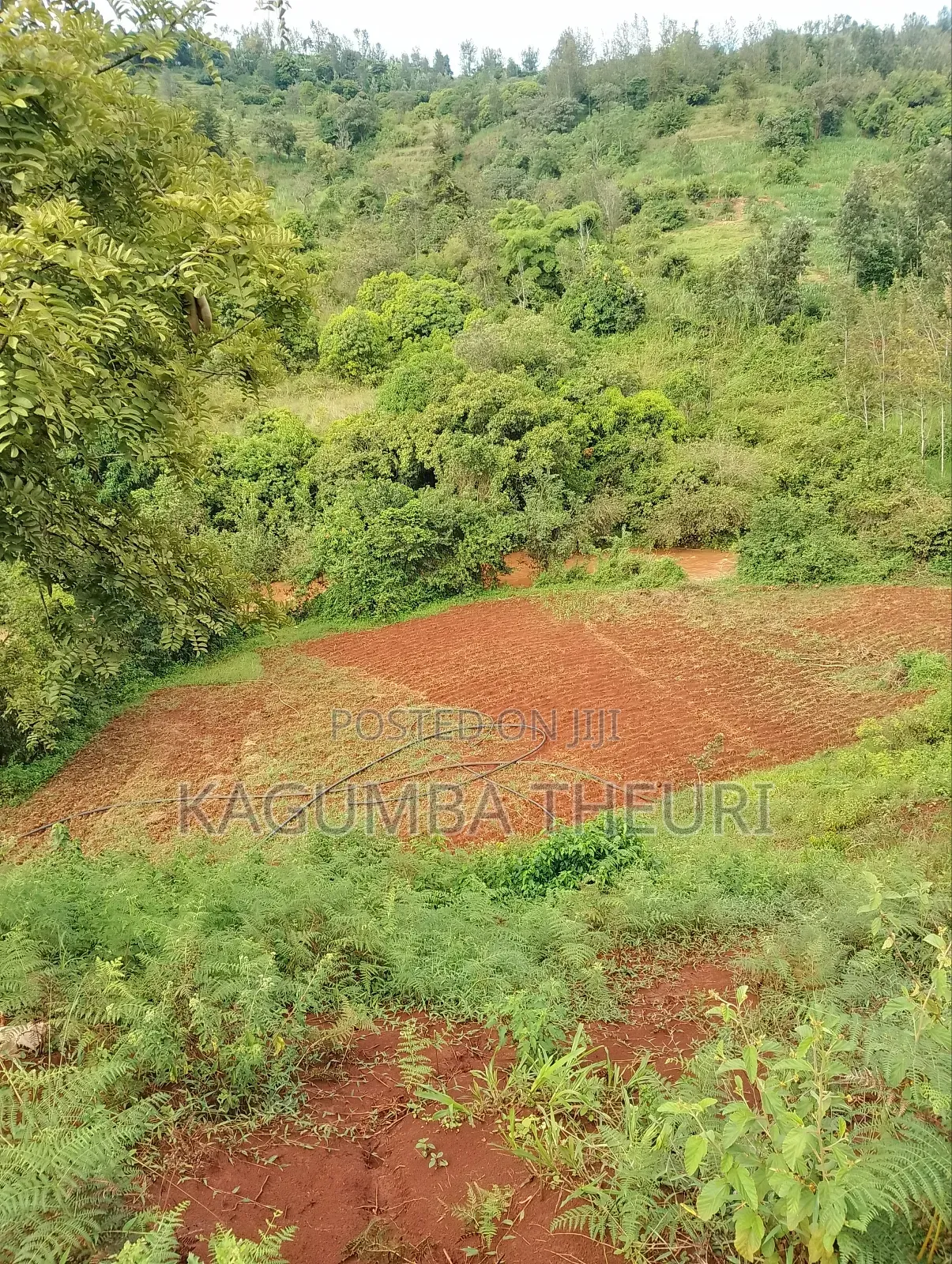 12.4 Acres