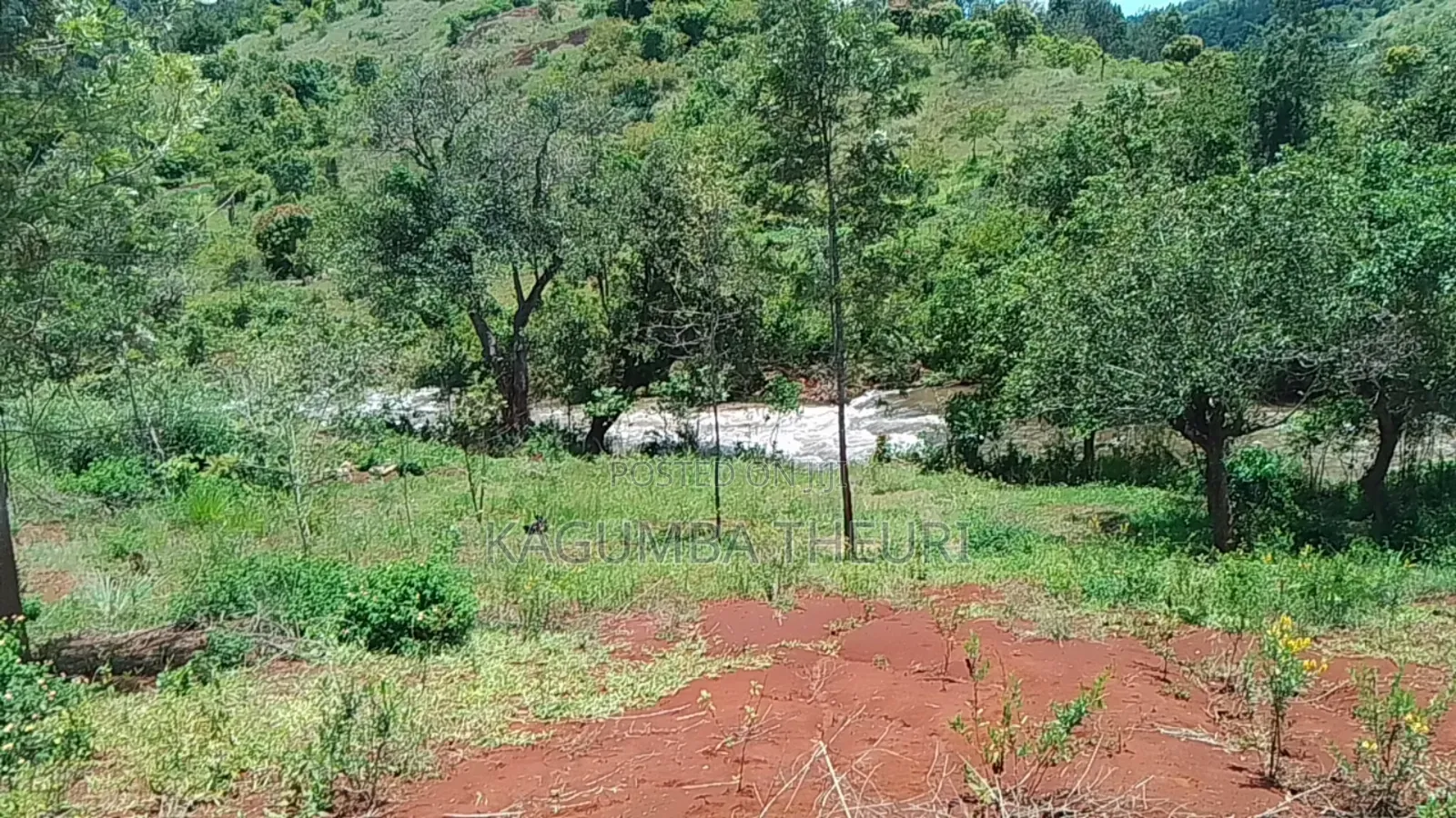 12.4 Acres