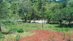 12.4 Acres