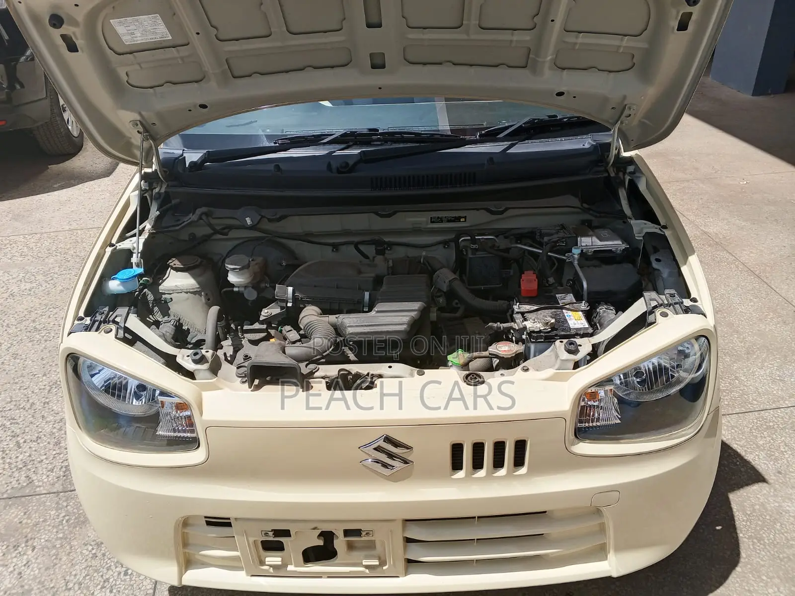Suzuki Alto 2018 Ivory