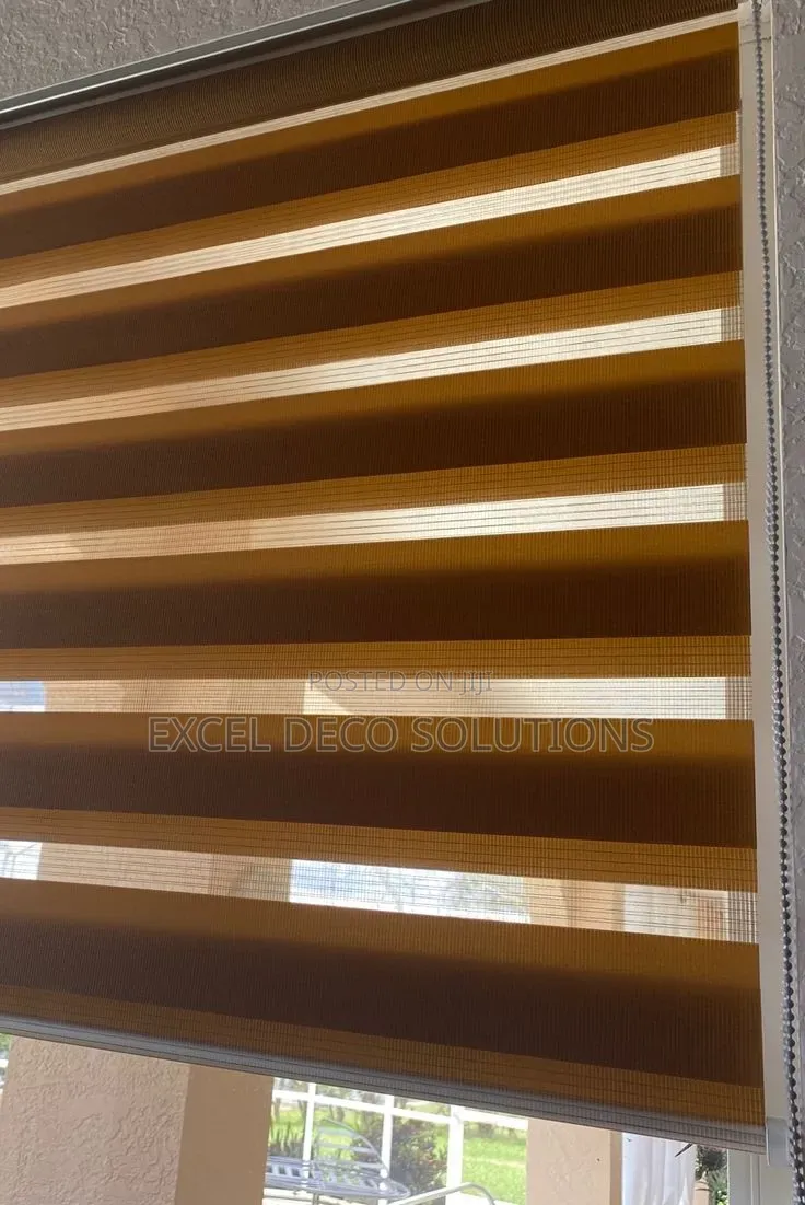 Catch the Perfect Shade!" With Zebra Window Blinds