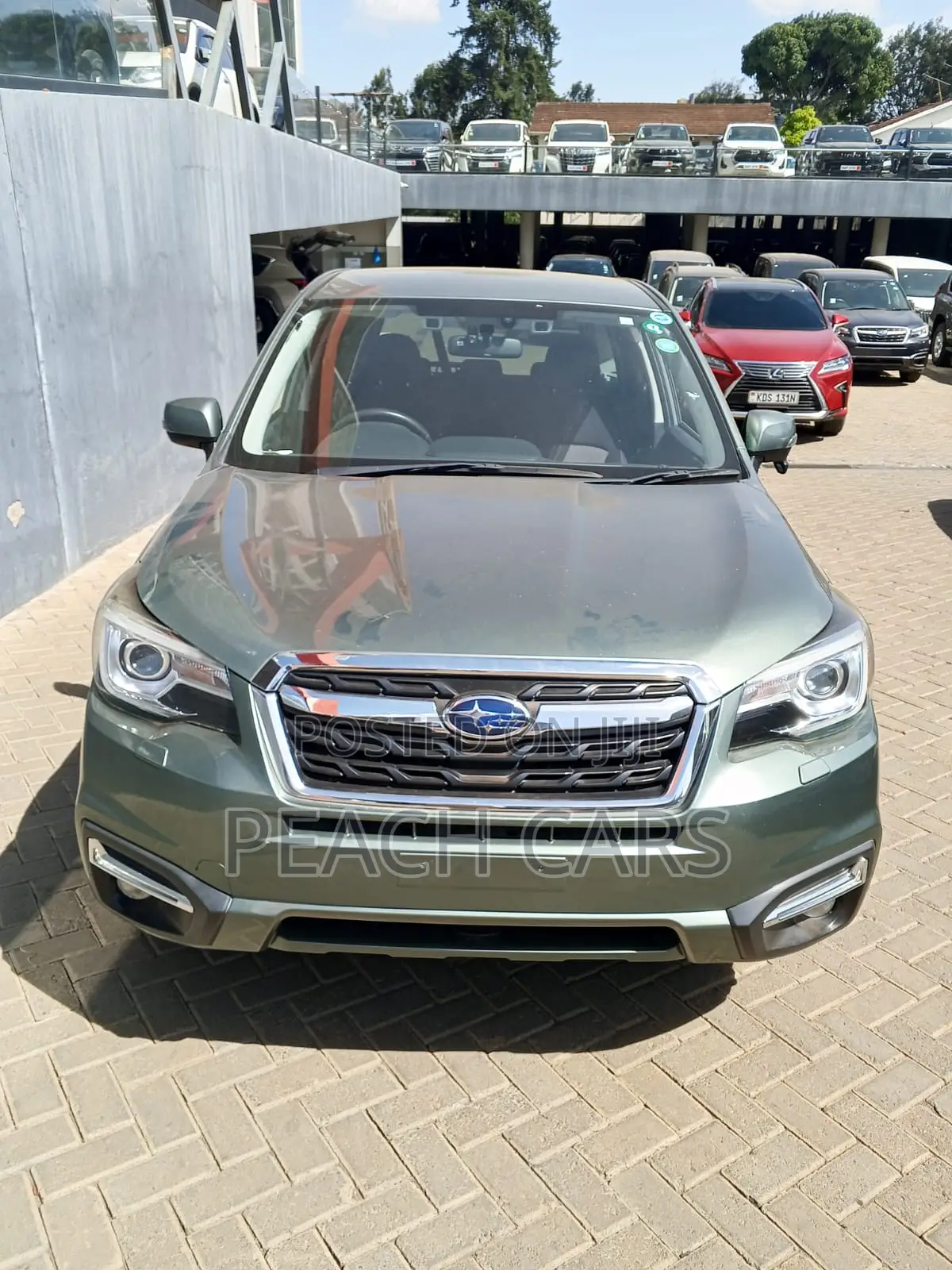 Subaru Forester 2018 Green